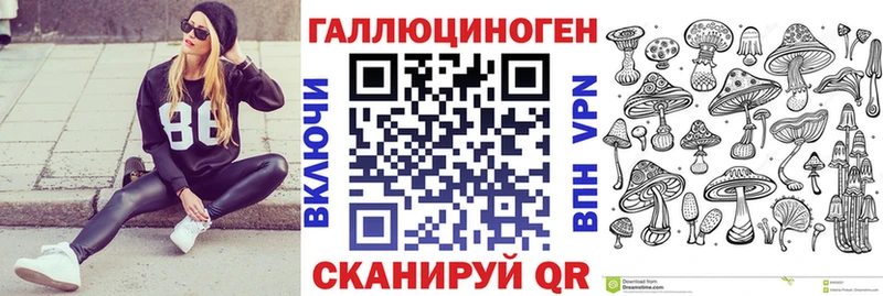 Купить  Циолковский  Псилоцибиновые грибы прущие грибы 