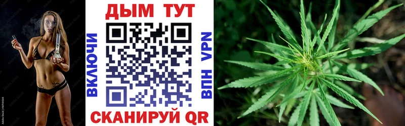 Купить  Циолковский  Бошки Шишки VHQ 